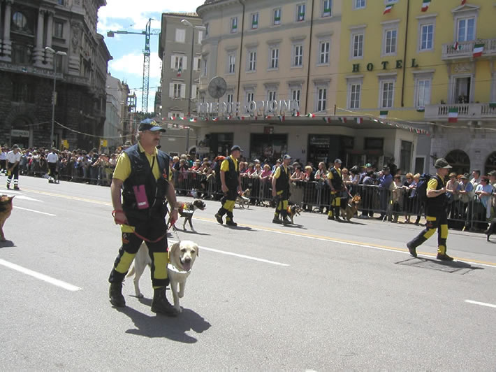 Alpini Salò