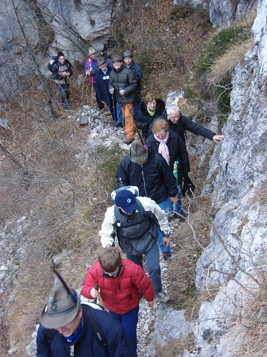 Alpini Salò